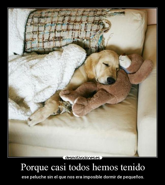 Porque casi todos hemos tenido -