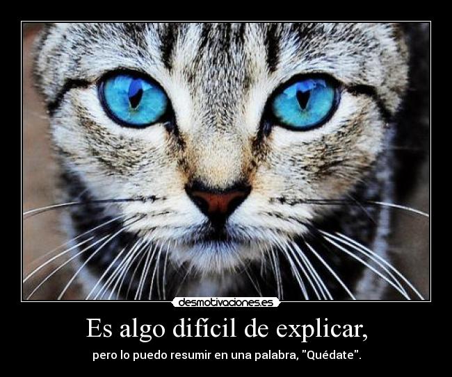 Es algo difícil de explicar, - pero lo puedo resumir en una palabra, Quédate.