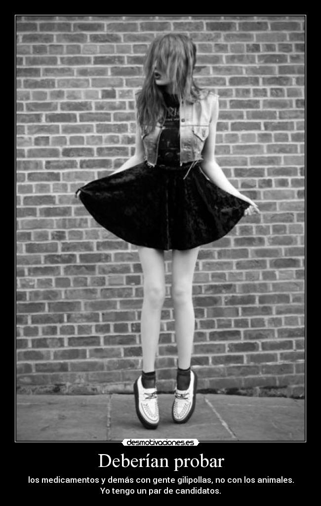 Deberían probar - los medicamentos y demás con gente gilipollas, no con los animales.
Yo tengo un par de candidatos.