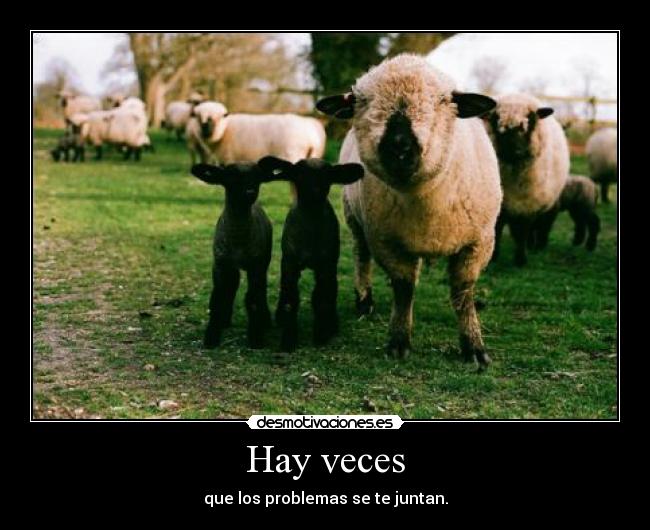 Hay veces - 