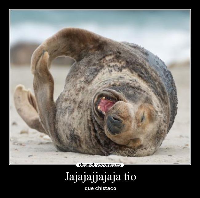 Jajajajjajaja tio - que chistaco