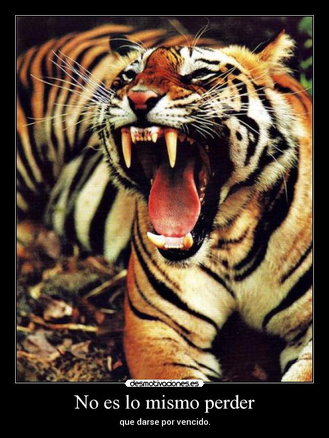No es lo mismo perder - que darse por vencido.