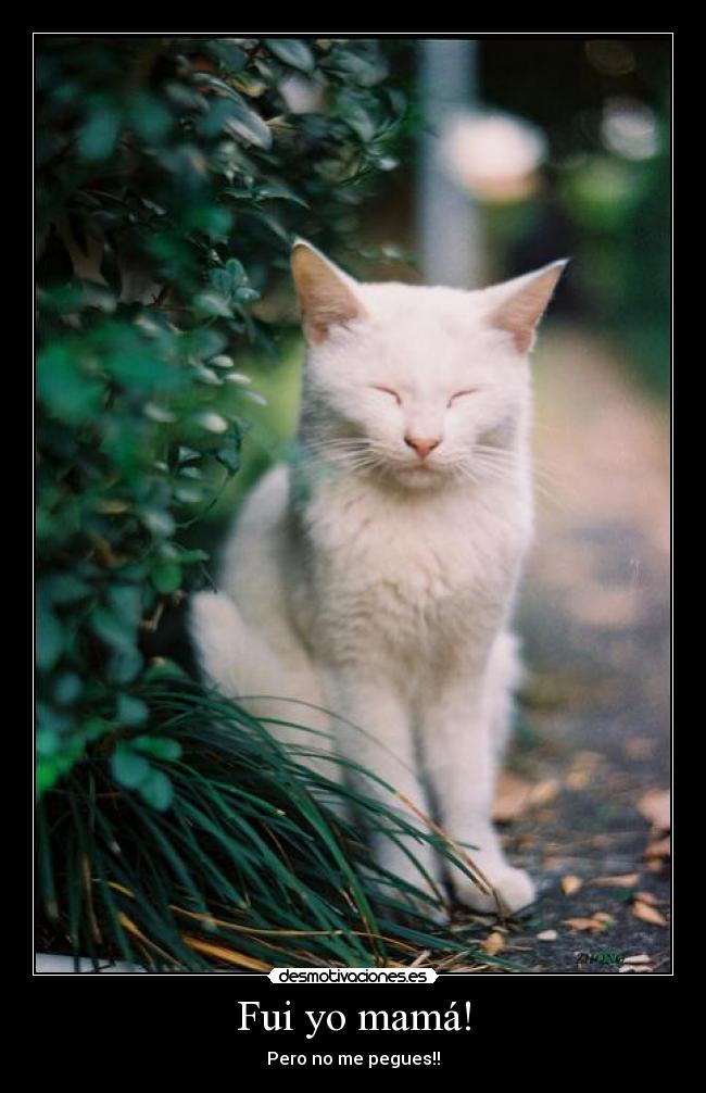 Fui yo mamá! - Pero no me pegues!!