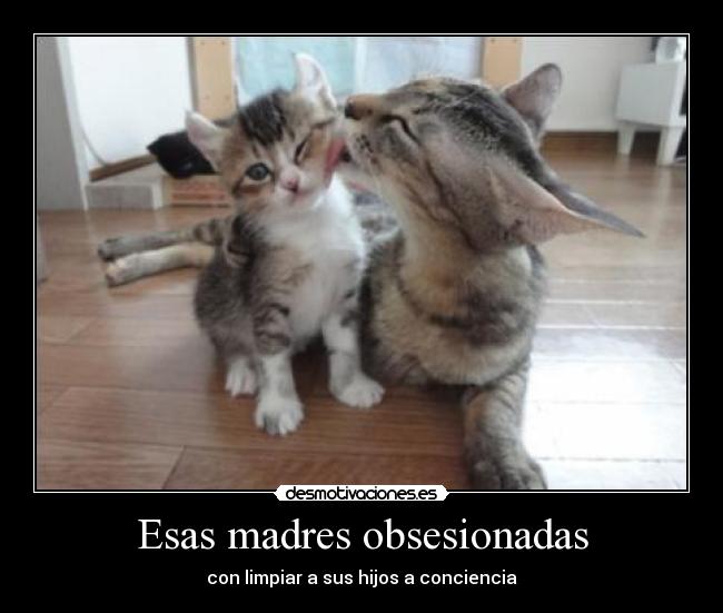 Esas madres obsesionadas - 