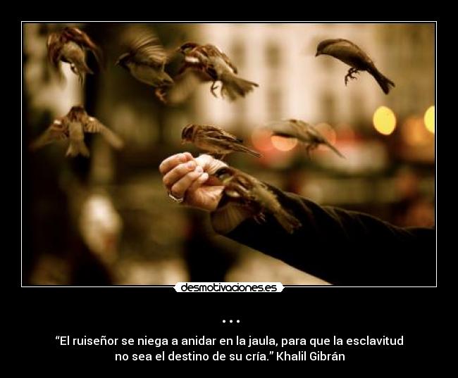 ... - “El ruiseñor se niega a anidar en la jaula, para que la esclavitud
no sea el destino de su cría.” Khalil Gibrán