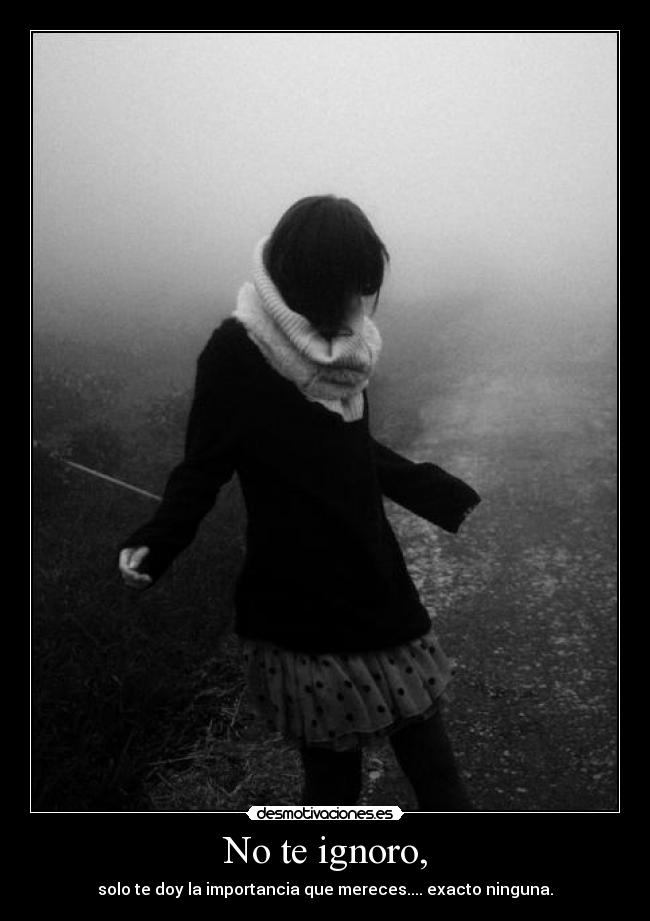 No te ignoro, - solo te doy la importancia que mereces.... exacto ninguna.
