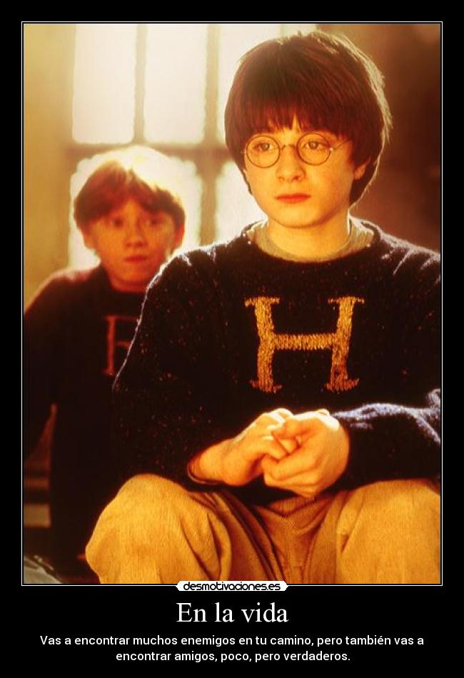 carteles vida amigos harry potter desmotivaciones