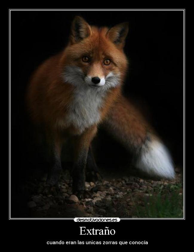 Extraño - cuando eran las unicas zorras que conocía