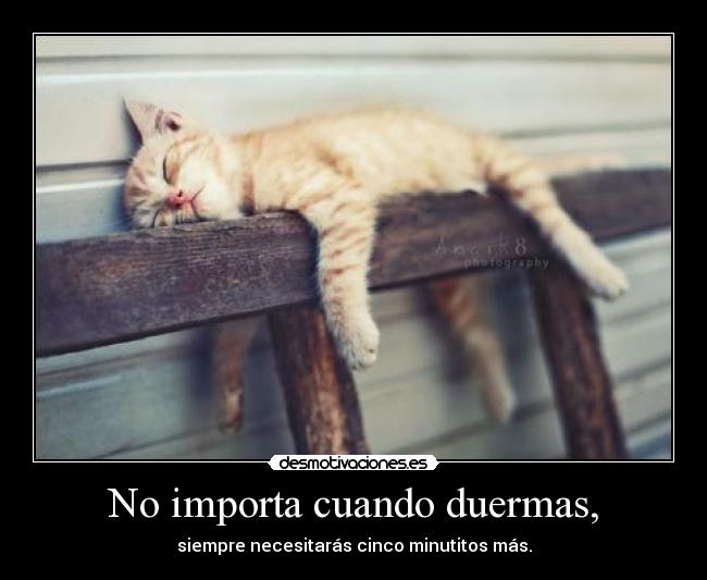 No importa cuando duermas, - siempre necesitarás cinco minutitos más.