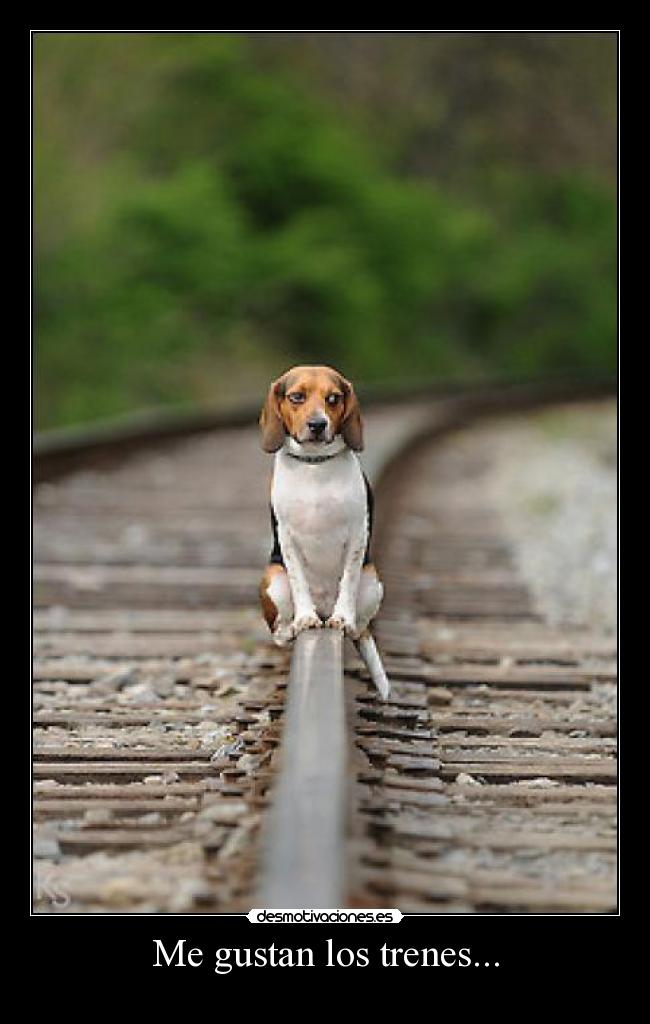 Me gustan los trenes... - 