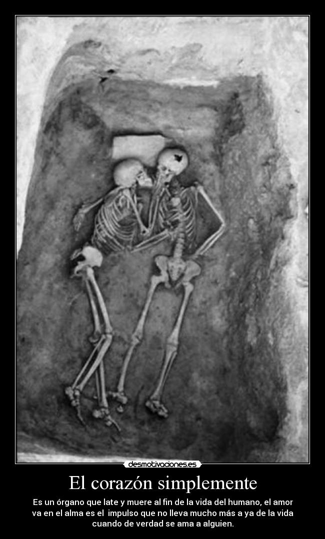 El corazón simplemente - Es un órgano que late y muere al fin de la vida del humano, el amor
va en el alma es el impulso que no lleva mucho más a ya de la vida
cuando de verdad se ama a alguien.