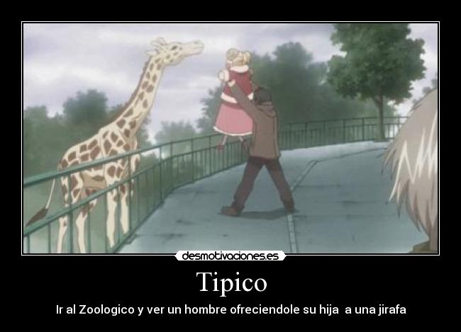 Tipico - Ir al Zoologico y ver un hombre ofreciendole su hija a una jirafa