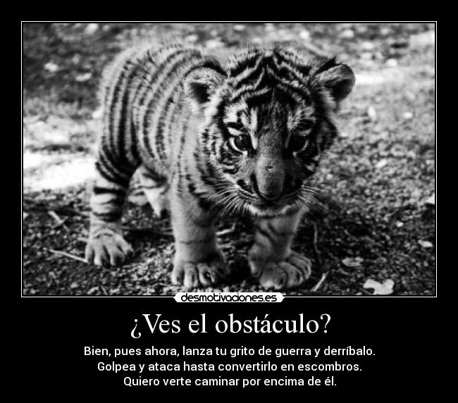 carteles ruge desmotivaciones