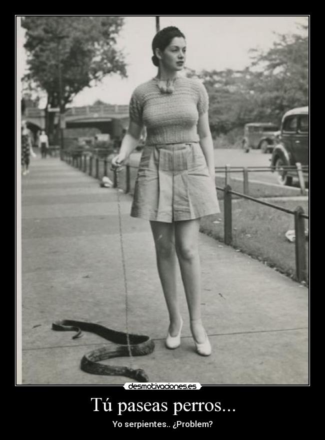Tú paseas perros... - 
