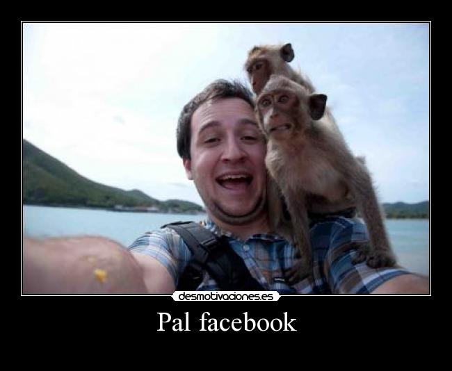 Pal facebook - 