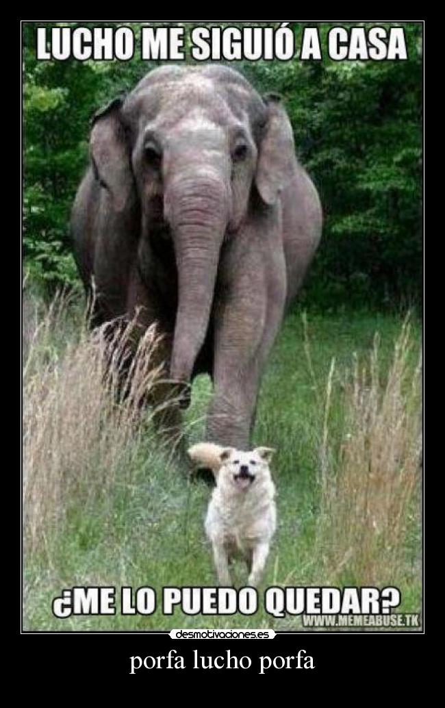 porfa lucho porfa - 