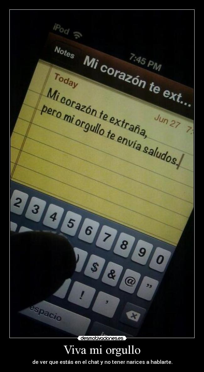 Viva mi orgullo - de ver que estás en el chat y no tener narices a hablarte.