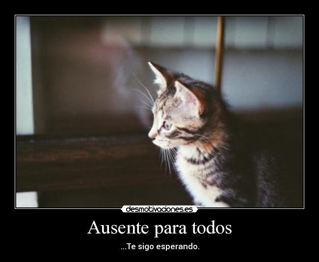 Ausente para todos - ...Te sigo esperando.