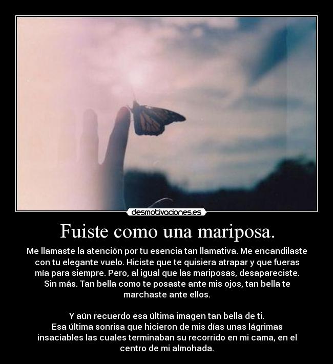 Fuiste como una mariposa. - Me llamaste la atención por tu esencia tan llamativa. Me encandilaste
con tu elegante vuelo. Hiciste que te quisiera atrapar y que fueras
mía para siempre. Pero, al igual que las mariposas, desapareciste.
Sin más. Tan bella como te posaste ante mis ojos, tan bella te
marchaste ante ellos.
Y aún recuerdo esa última imagen tan bella de ti.
Esa última sonrisa que hicieron de mis días unas lágrimas
insaciables las cuales terminaban su recorrido en mi cama, en el
centro de mi almohada.