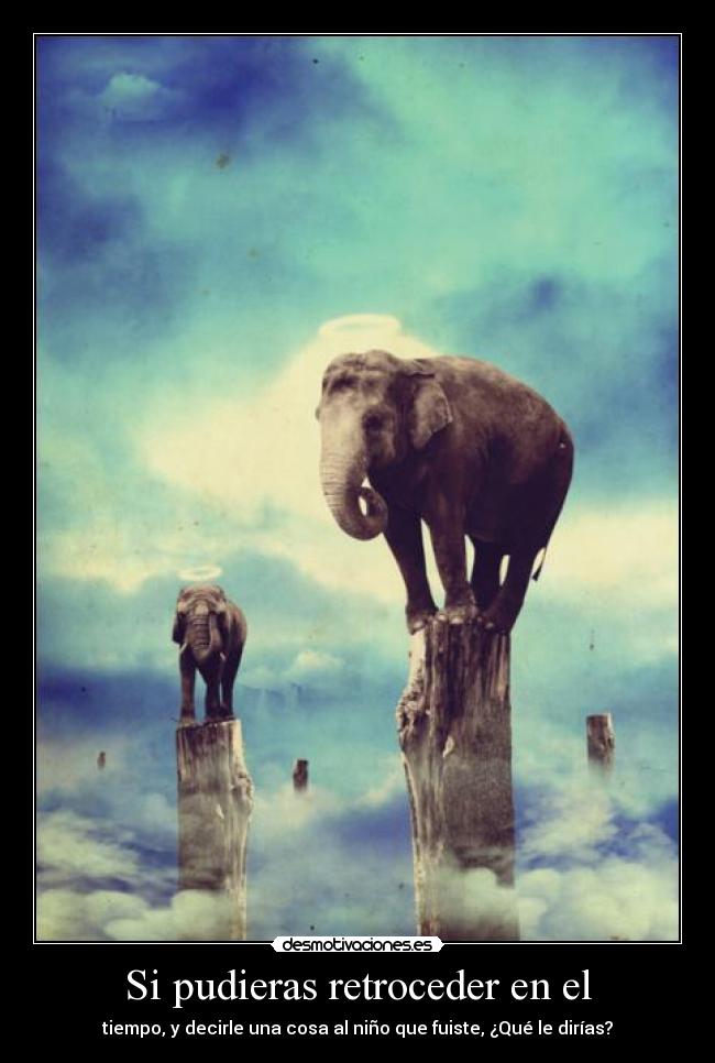 carteles passio est quod movet mundi desmotivaciones