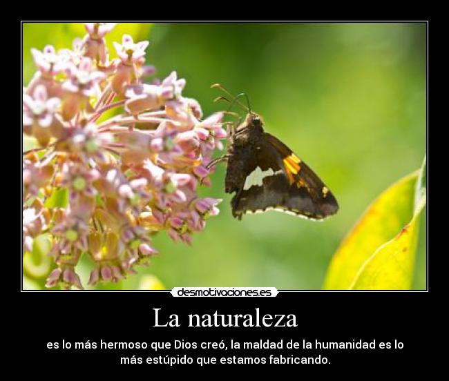 La naturaleza - 