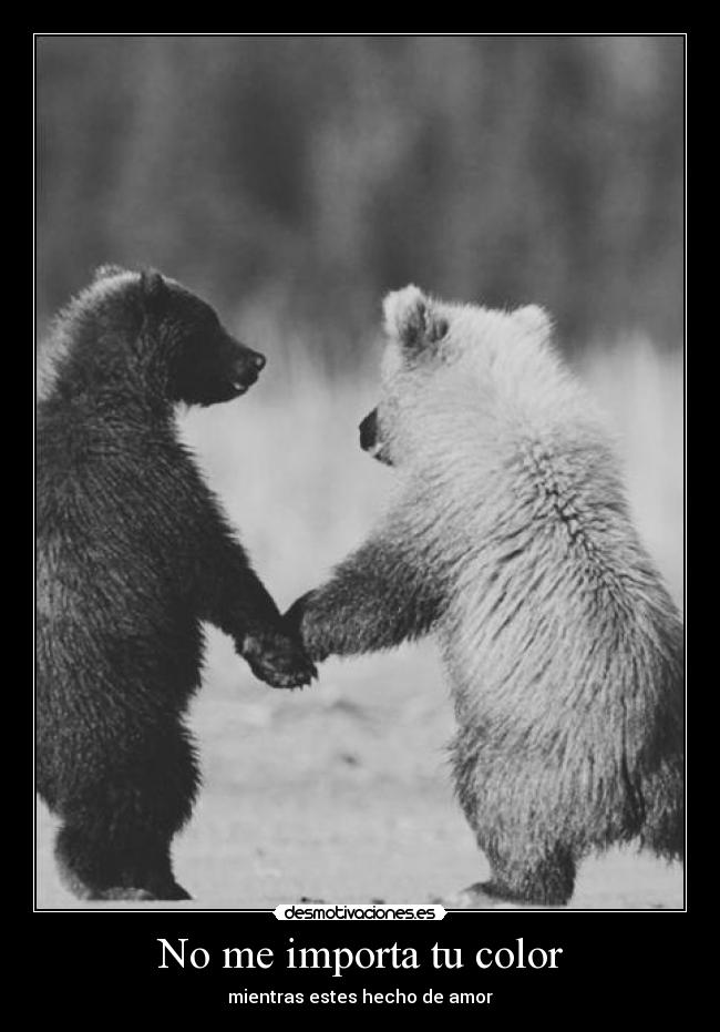 No me importa tu color - mientras estes hecho de amor