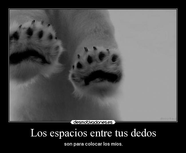 Los espacios entre tus dedos - 