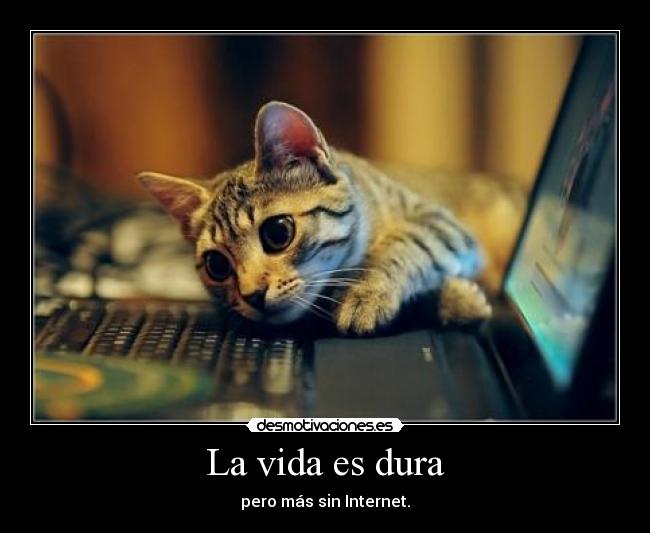 La vida es dura - pero más sin Internet.