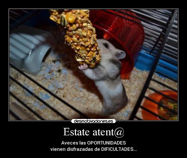 Estate atent@ - Aveces las OPORTUNIDADES
vienen disfrazadas de DIFICULTADES...