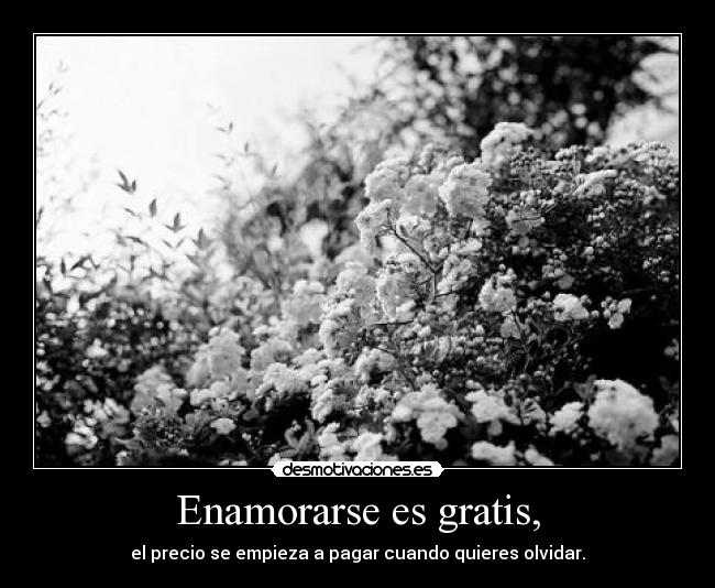 Enamorarse es gratis, - el precio se empieza a pagar cuando quieres olvidar.