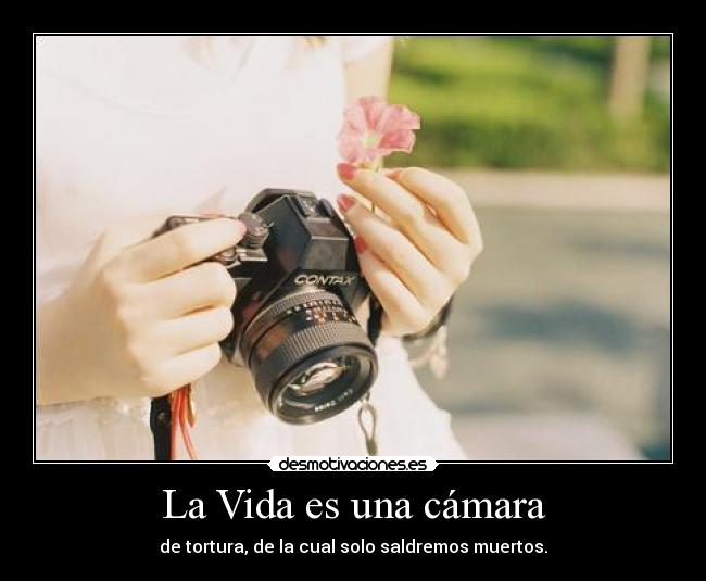 La Vida es una cámara -