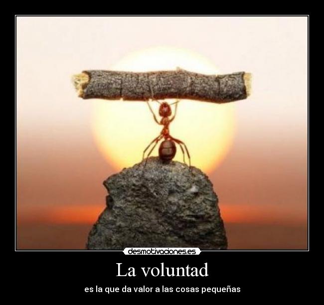 La voluntad - es la que da valor a las cosas pequeñas