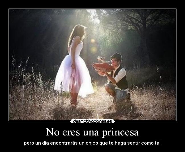 No eres una princesa -