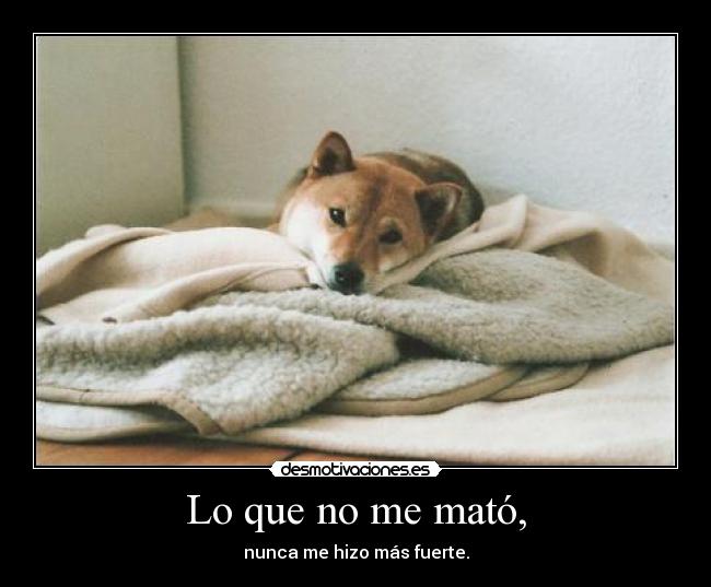 Lo que no me mató, - nunca me hizo más fuerte.