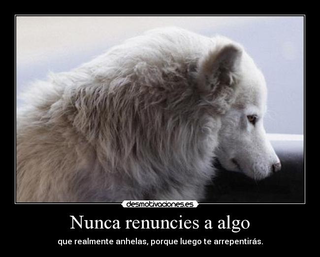 Nunca renuncies a algo - 