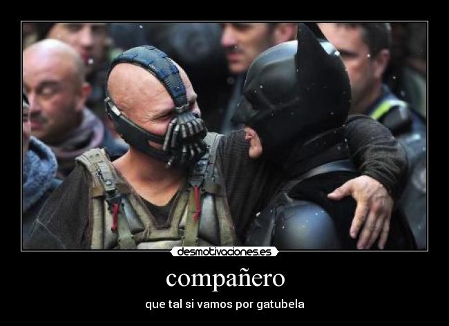 compañero - que tal si vamos por gatubela