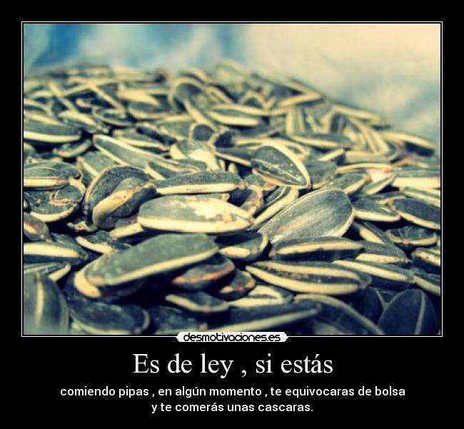 Es de ley , si estás - comiendo pipas , en algún momento , te equivocaras de bolsa
y te comerás unas cascaras.