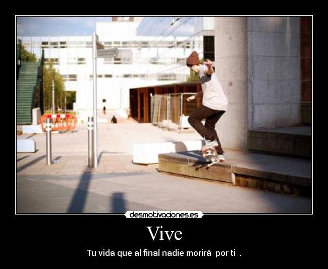 Vive - 