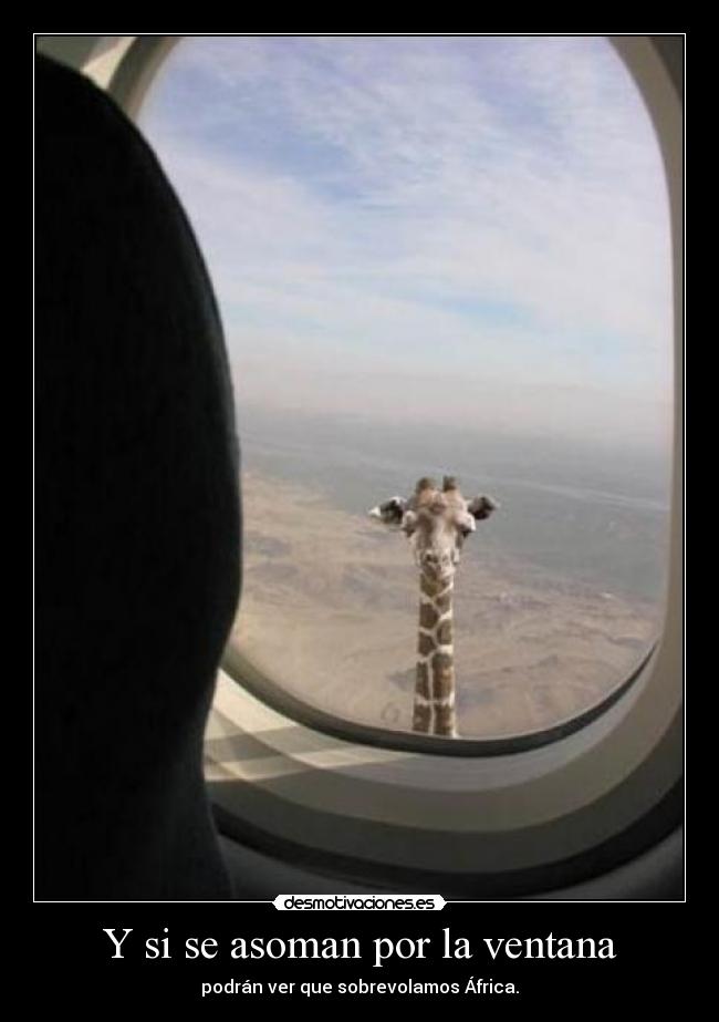 Y si se asoman por la ventana - 