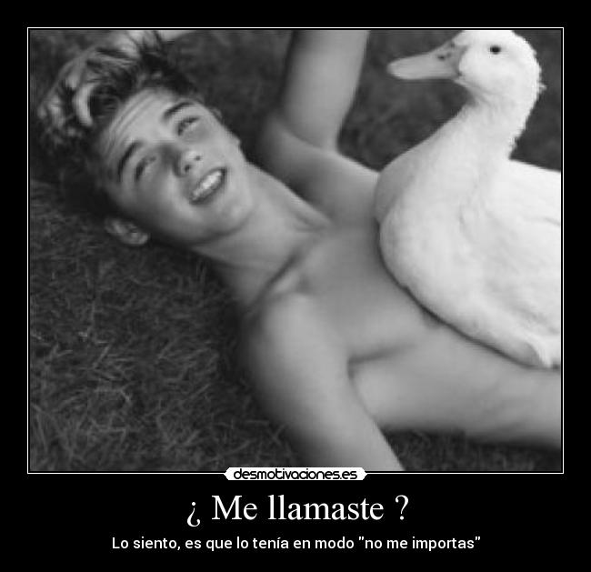 ¿ Me llamaste ? - 