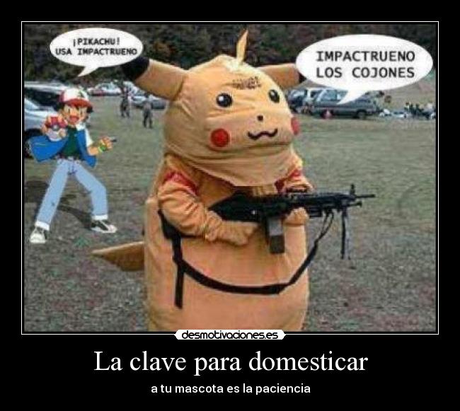 La clave para domesticar - 