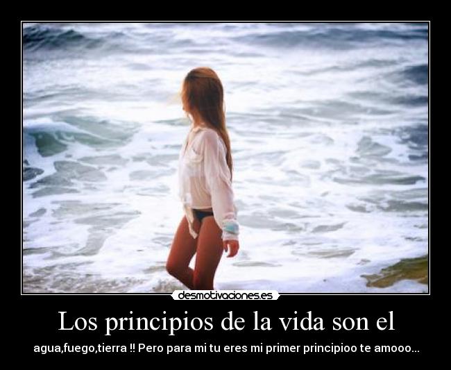 Los principios de la vida son el -