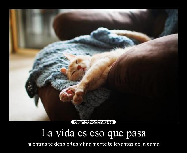 La vida es eso que pasa -
