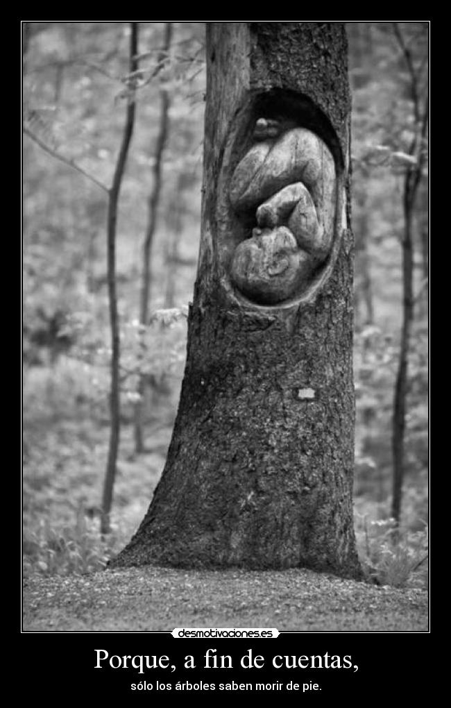 Porque, a fin de cuentas, - sólo los árboles saben morir de pie.