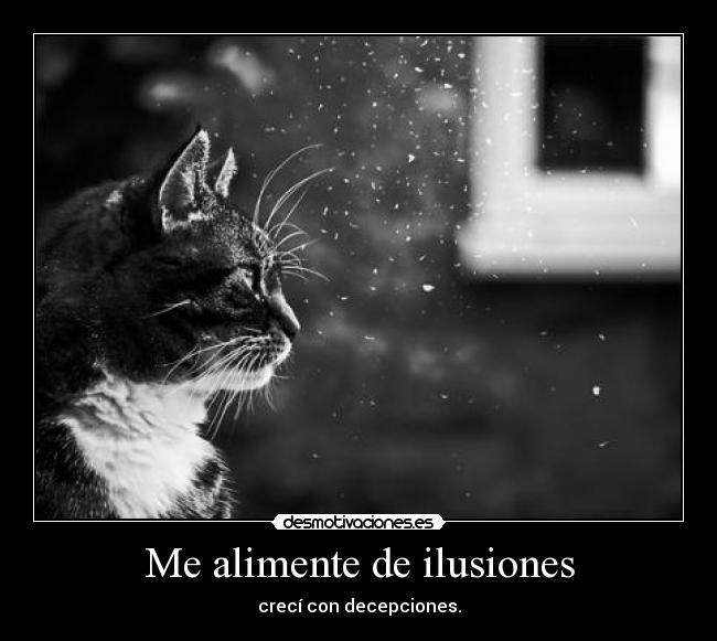 Me alimente de ilusiones - crecí con decepciones.