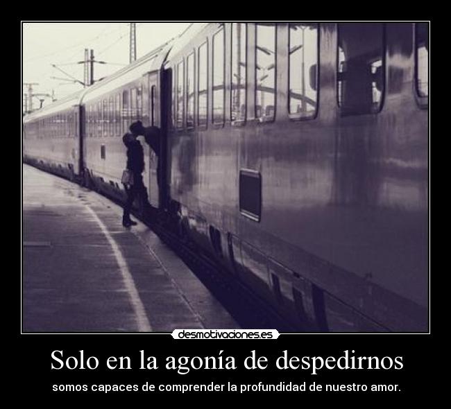 Solo en la agonía de despedirnos - somos capaces de comprender la profundidad de nuestro amor.