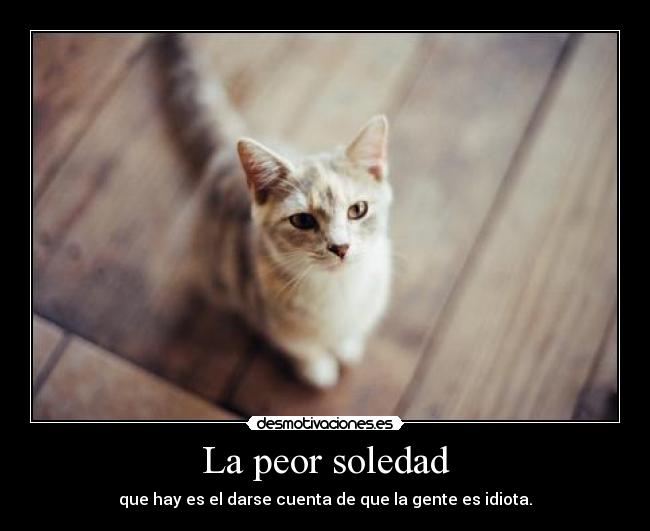 La peor soledad - que hay es el darse cuenta de que la gente es idiota.