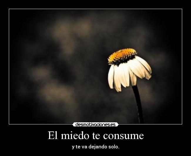 El miedo te consume - 