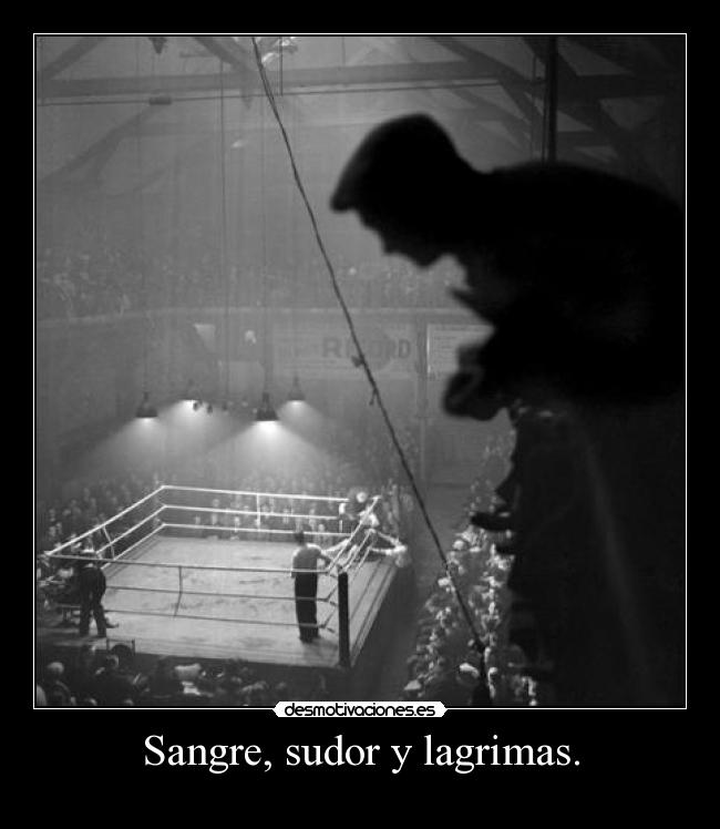 Sangre, sudor y lagrimas. - 