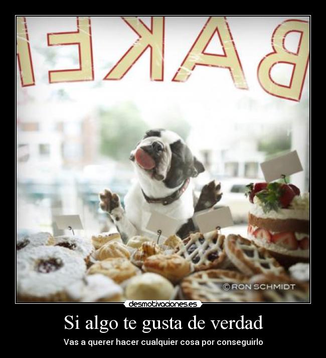 carteles tambien actuaria asi frente tantos pasteles desmotivaciones